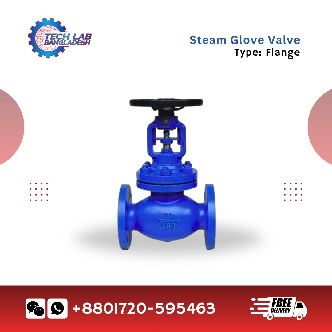 Steam Globe Valve – Flange Type